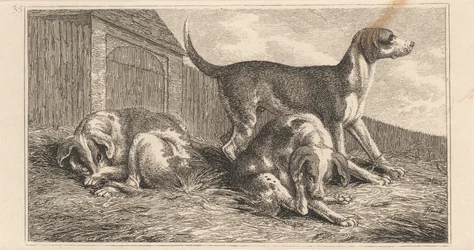 Drie honden