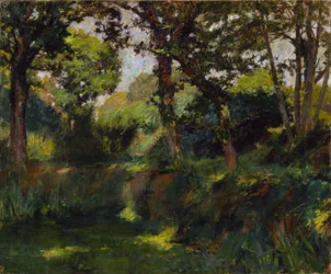Bosrijk landschap