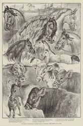 De Royal Agricultural Society