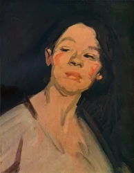 De zigeuner