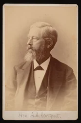 Portret van Aaron Augustus Sargent
