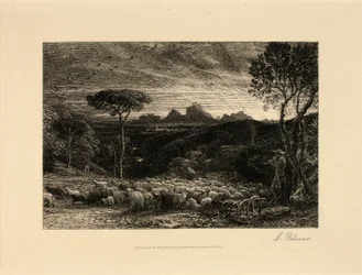 Vroege ochtend
