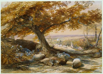 Schapen in de schaduw, ca. 1851