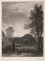 De Leeuwerik