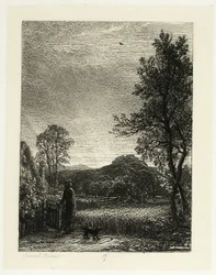 De Veldleeuwerik