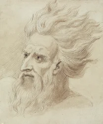 Hoofd van een Man met een Baard en Lang Haar in de Wind