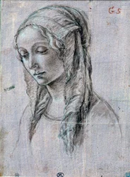 Hoofd van een jonge vrouw Penseeltekening en witte vlakken toegeschreven aan Alessandro di Mariano dei Filipepi genaamd Sandro Botticelli (1445-1510) 15e eeuw Parijs, Louvre Museum