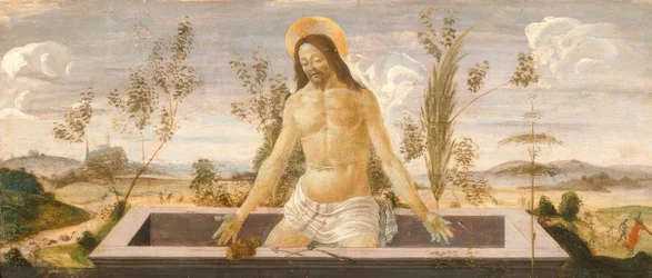 Christus in het graf
