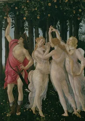 Detail van de Drie Gratiën en Mercurius, uit de Primavera, detail van 558