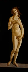Venus Pudica