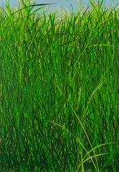 Zomergras, 2020 (acryl op doek)