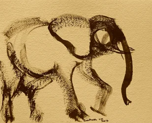 Abstracte olifantenschets