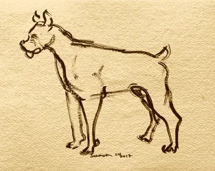 Schets van een boxerhond