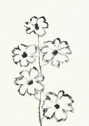 Houtskoolschets van een bloem