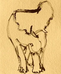 Expressieve olifantentekening