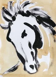 Expressief paardenhoofd