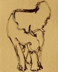 Zachte olifant in inkt