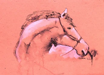 Sierlijke paardenschets