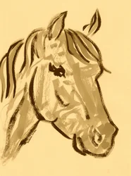 Sierlijke paardenschets