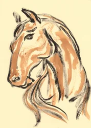 Majestueus paardenprofiel