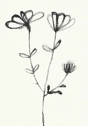 Minimalistische bloemschets