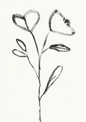 Minimalistische bloemschets