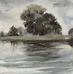 Misty Tree Reflections