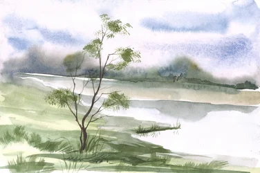 Rustige boom aan het meer
