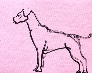 Roze lijntekening van een boxer