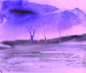 Paars winterlandschap