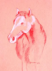 Schets van een rood paard
