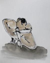 Nadenkende stilte
