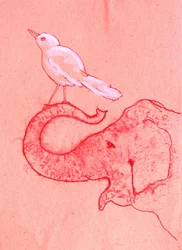 Grillige olifant en vogel