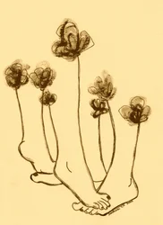 Grillige voetenbloemen