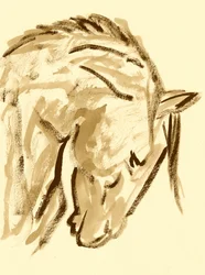 Schets van een wild paard