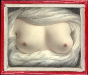 Schoonheid Onthuld