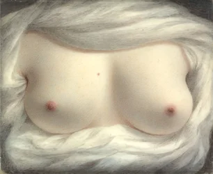 Onthulde schoonheid, 1828