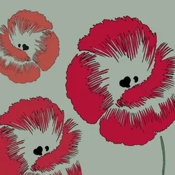 Picknick Poppy, 2005