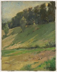 Uitzicht vanuit Llandrindod Wells: De bovenste verbinding, ca.1900 (schilderij)
