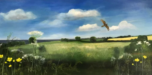 Buzzard, 2022