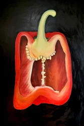 Halve rode peper, 2024 (olieverf op doek)