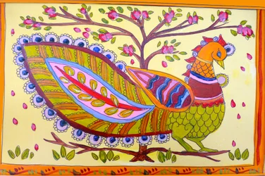 Indische pauw, 2019