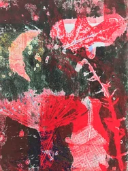 Rode maan, 2019