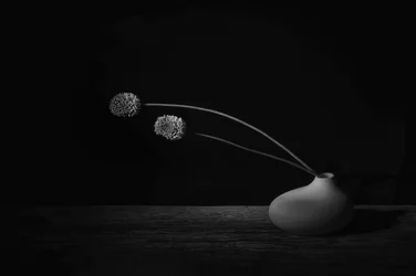 Elegant bloemstilleven