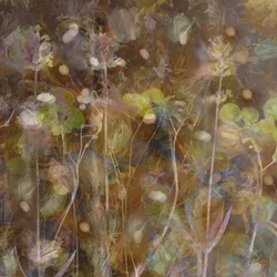Etherische Botanische Tuin