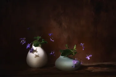 Zwevende paarse bloemen