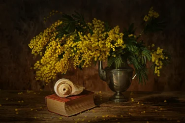 Stilleven met gouden mimosa