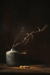 Sfeervol botanisch stilleven
