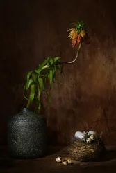 Sombere bloemennest