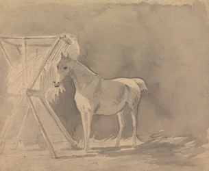 Een Grazend Paard